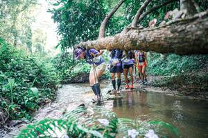 BIB: 
                            <button type="button" onclick="openModal(25464529)" class="btn btn-primary btn-sm float-right btn-popup" data-toggle="modal" data-target=".modal-high-quality">
                        <i class="fas fa-shopping-cart"></i> Add to Cart
                    </button>
                                            <button type="button" onclick="isThisMe(25464529, true)" class="btn btn-success btn-sm float-right btn-popup btn-isme hidden" data-toggle="tooltip" data-placement="bottom" title="นี่คือรูปของคุณใช่ไหม คลิกที่นี่เพื่อเอาเข้าอัลบั้ม">
                        <i class="fas fa-plus"></i> Add to album
                    </button>
                    <button type="button" onclick="isThisMe(25464529, false)" class="btn btn-warning btn-sm float-right btn-popup btn-isnotme hidden">
                        <i class="fas fa-ban"></i> Remove from album
                    </button>